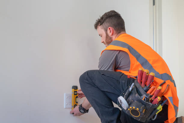 Best Electric Panel Repair  in West Sharyland, TX